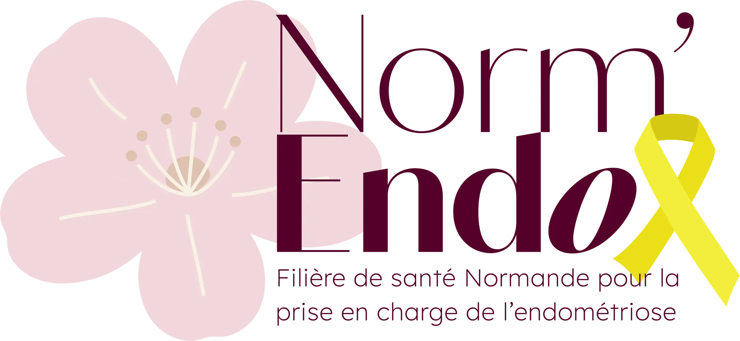 Norm'Endo Congrès logo